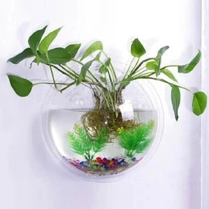 Stylish Acrylic Wall-Mounted Fish Bowl