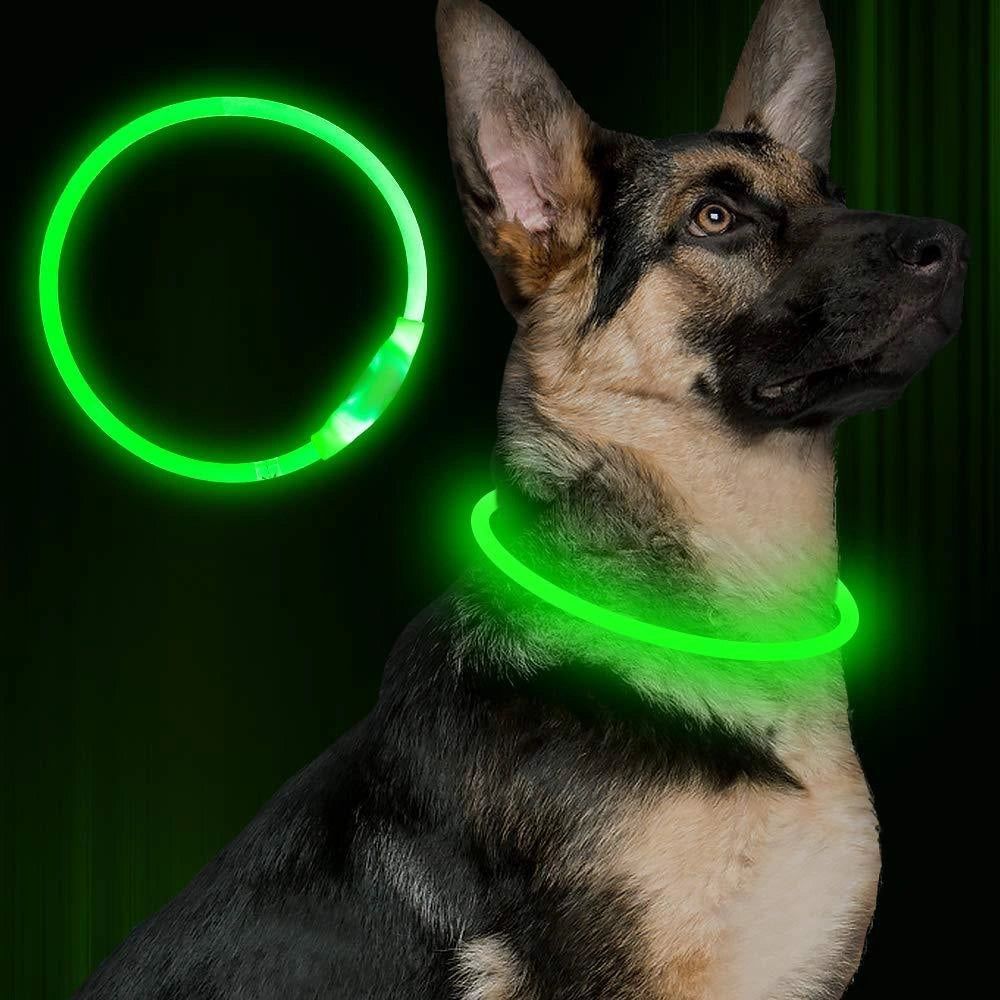 USB Rechargeable Pet Safety Collar with LED Glow for Night Walks