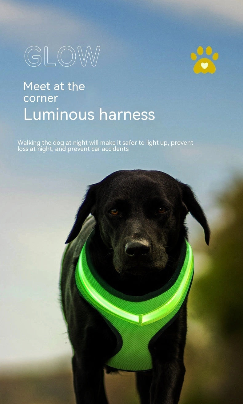 USB Charging LED Dog Harness with Reflective Safety Features