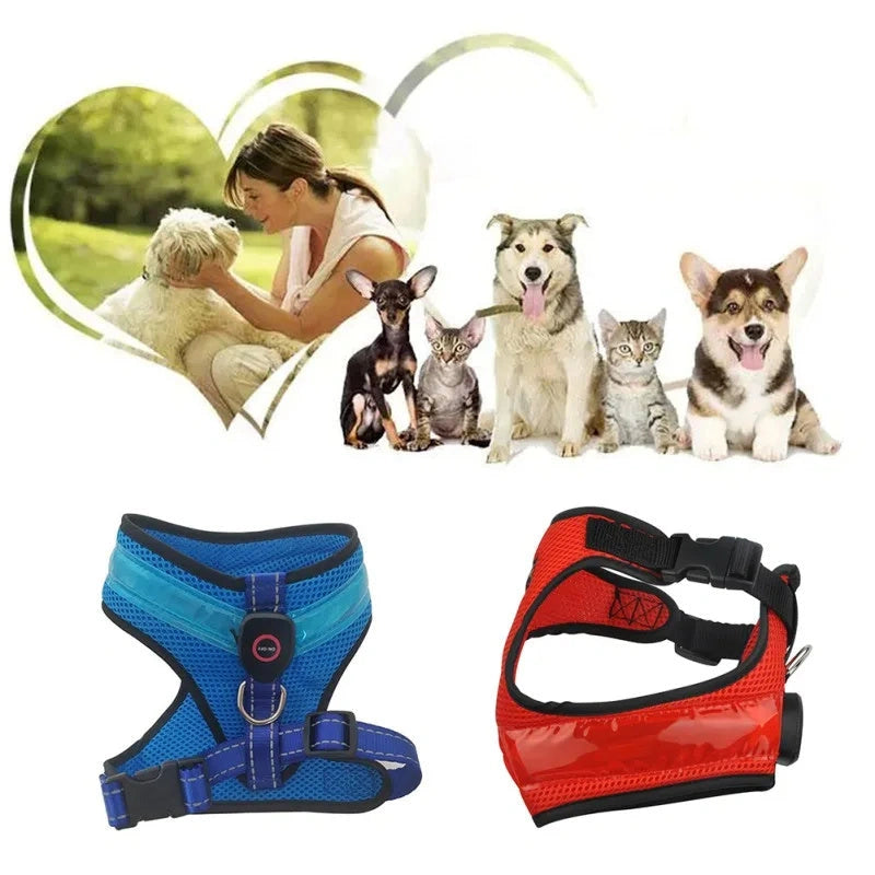 USB Charging LED Dog Harness with Reflective Safety Features