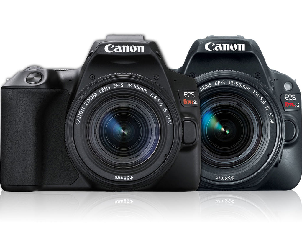 Vertrappen gehandicapt component Comparing Canon EOS 250D Rebel SL3 and 200D SL2 DSLR Cameras – Ikelite