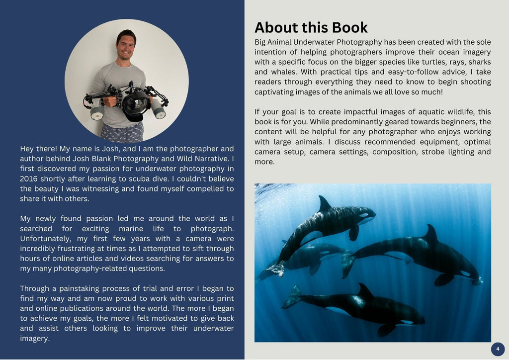 josh blank underwater photo ebook endorsed by ikelite