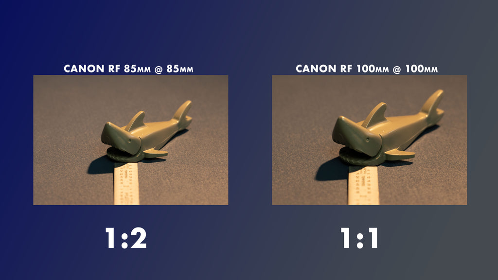 85mm vs 100mm ratio comparison