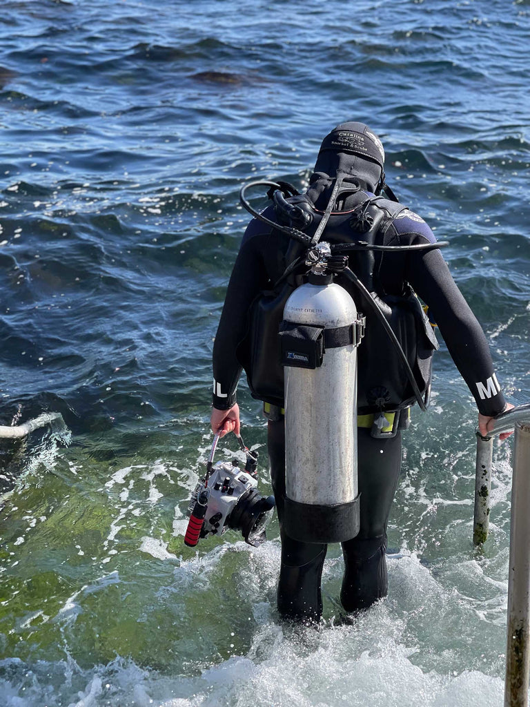 Catalina Island Shore Diving