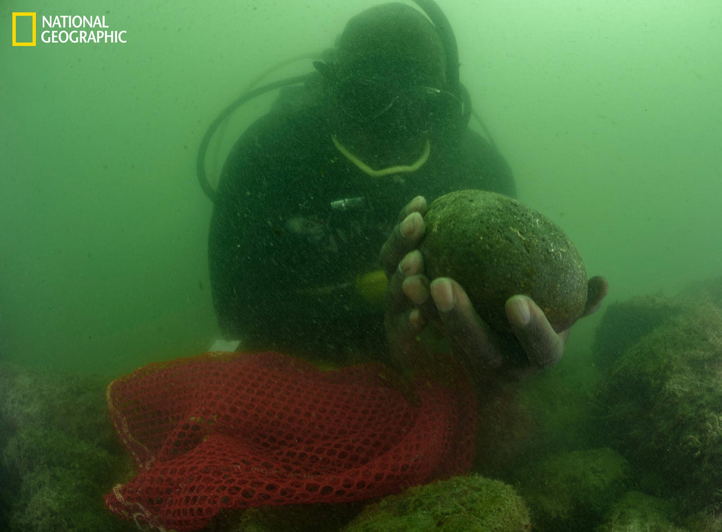 tara roberts diving with a purpose image from national geographic interview with ikelite