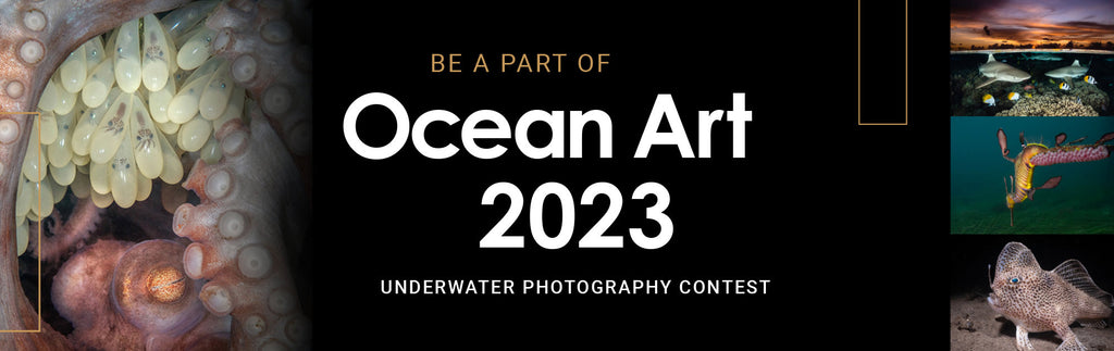 ocean art 2023