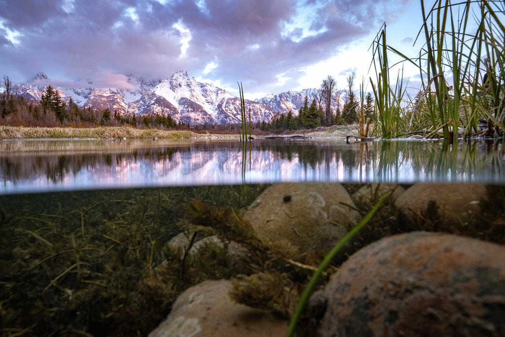 Peter Mangolds Mountainscape with Grass