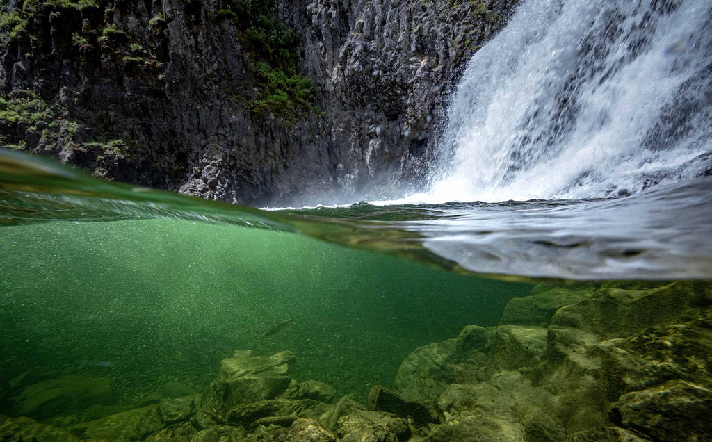 Peter Mangolds Split Green Water