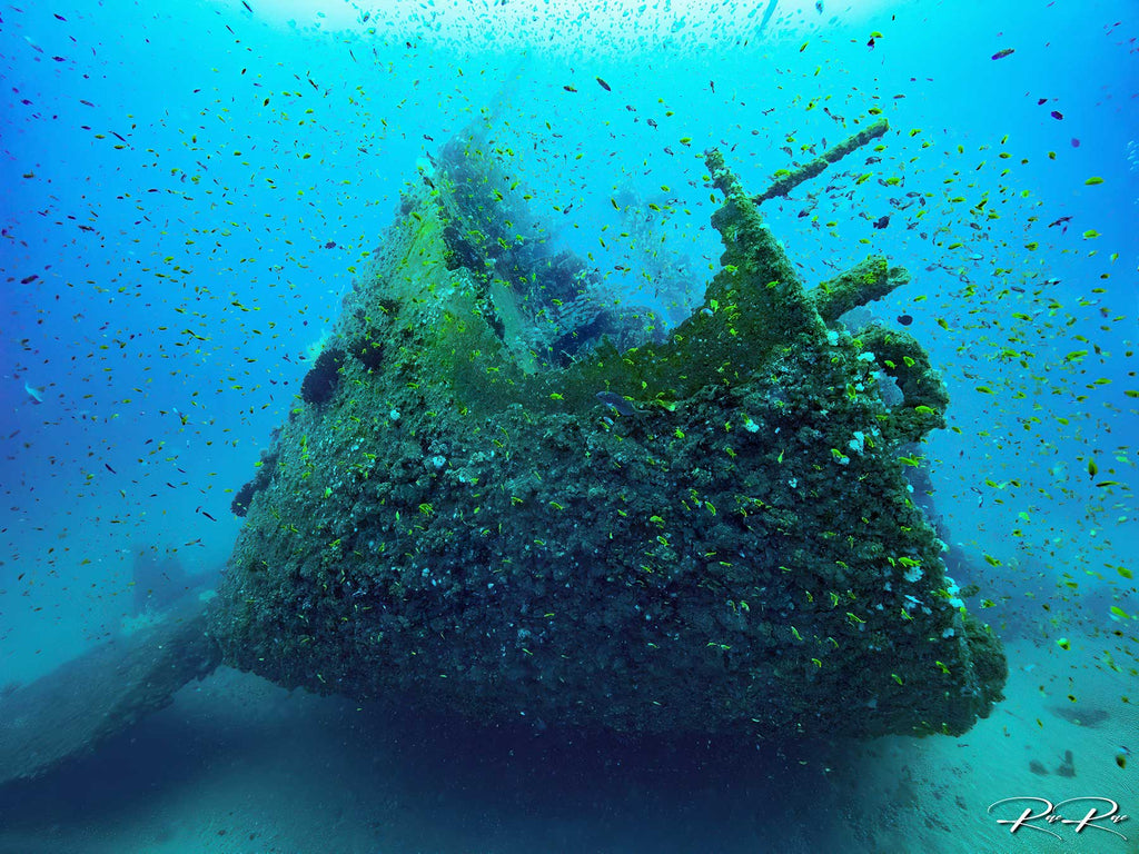 Rae du Plessis image of the produce shipwreck in south africa taken with ikelite underwater housing