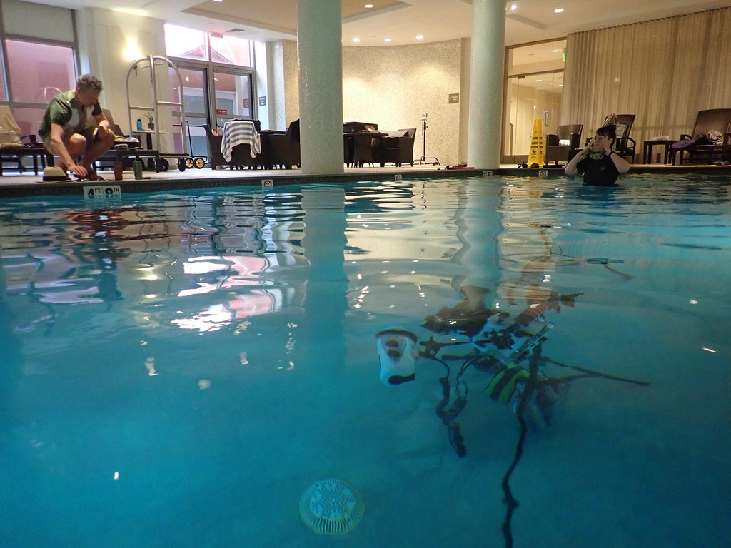 Rebecca Handler Entering the Pool