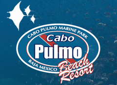 Cabo Pulmo Beach Resort Logo Background