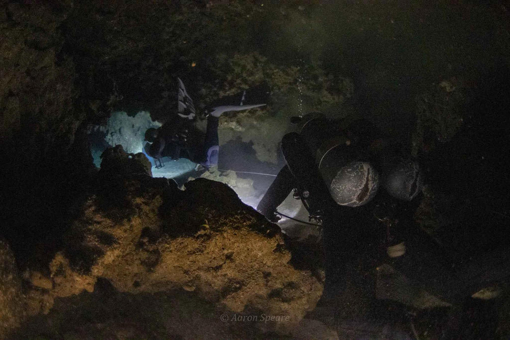 aaron speare cave diving oahu hawaii using an ikelite underwater systems housing