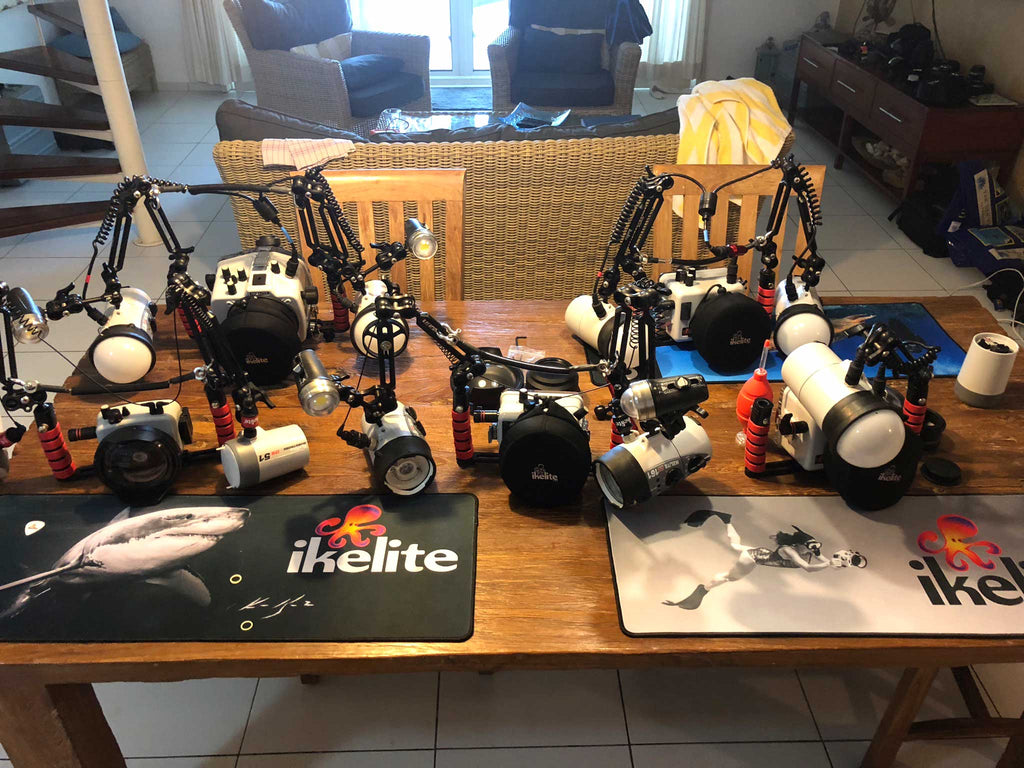 Ikelite Housings Assembled the Night Before