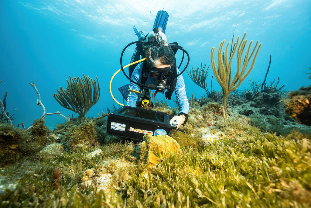 dr. colleen hansel uses the DISCO to sample seawater image taken by austin greene using an ikelite housing and ikelite strobes