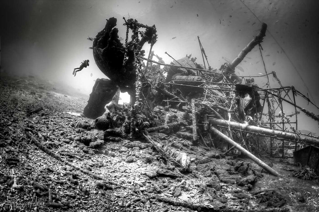 Bonaire Wreck Dive by Steve Miller Ikelite