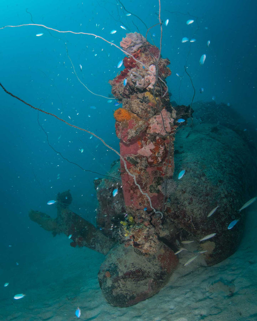 Jill Airplane Underwater Truk Lagoon Copyright Brandi Mueller Ikelite Ambassador