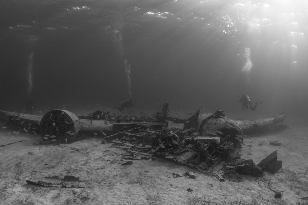 Brandi Mueller Shipwreck