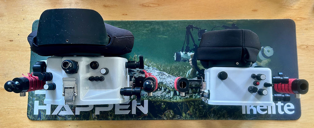 camera size comparison by bryant turffs using a canon r10 camera inside an ikelite underwater housing