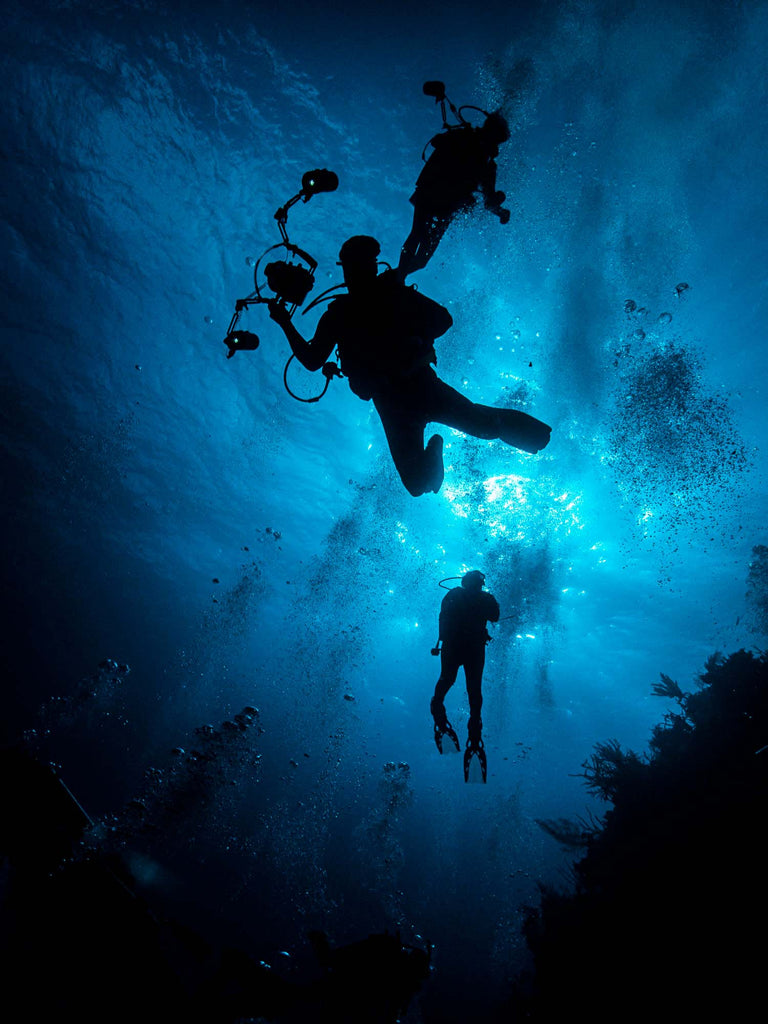 silhouette image taken by denise pietsch with an olympus tg-6 inside an ikelite housing with ikelite strobes