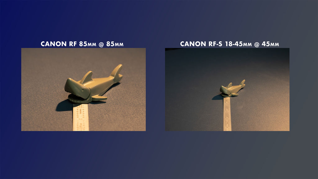 Comparing the Canon RF 85mm to the 18-45mm Kit lens at 45mm