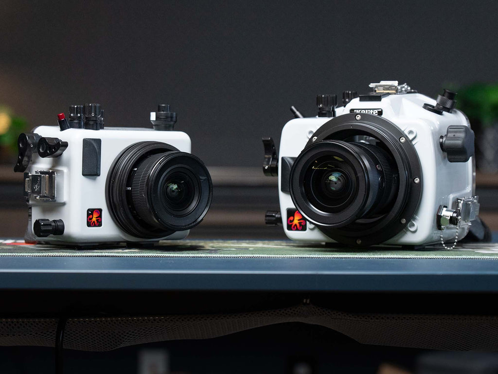sony a7cr and sony a7cii port comparison