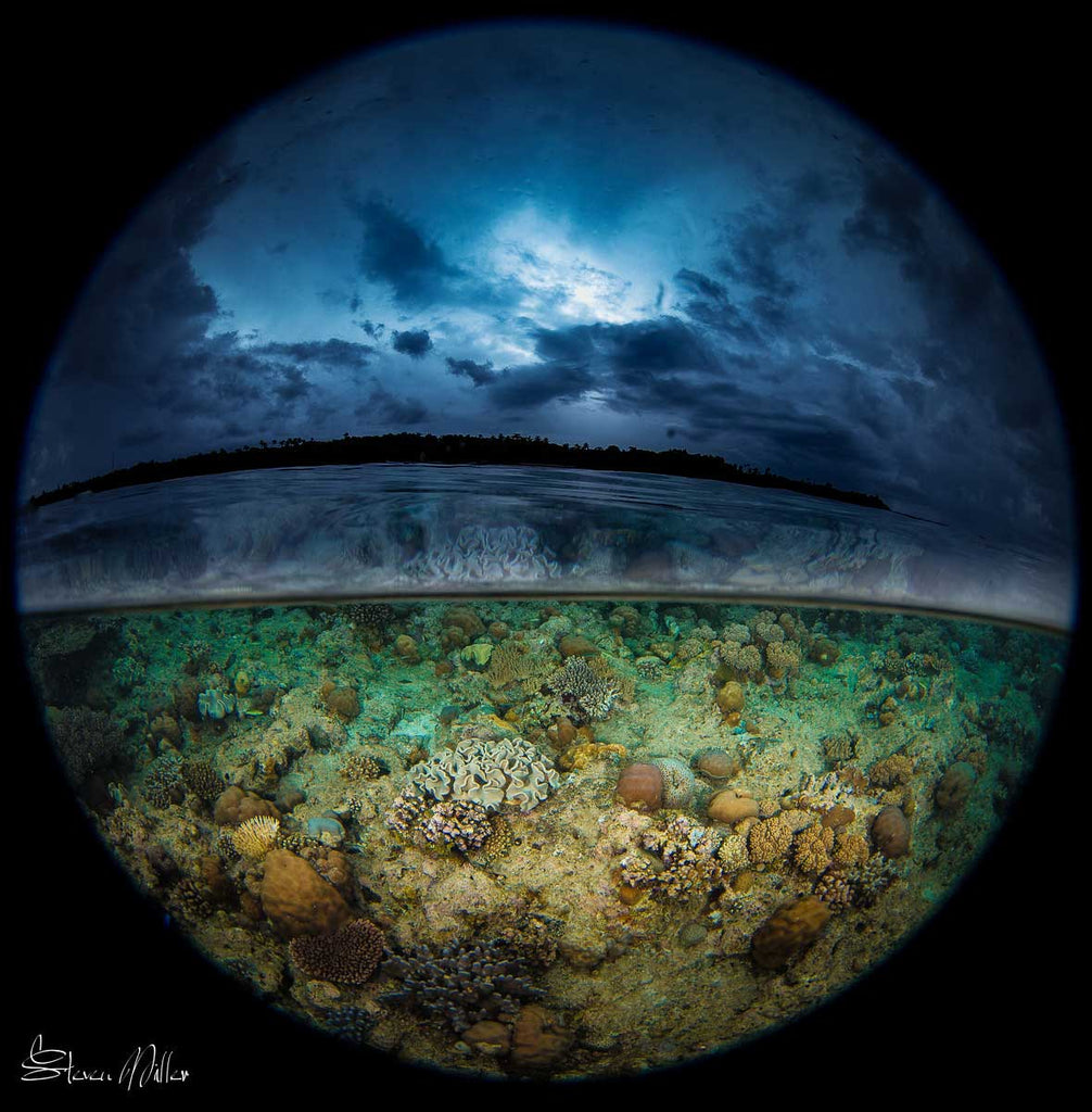 Over-under with a circular fisheye lens