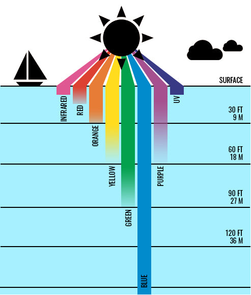 Color Loss Underwater Infograph