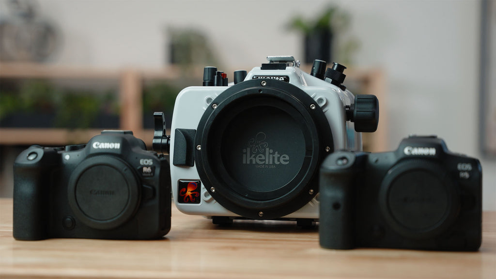 ikelite housing for canon r5 or r6