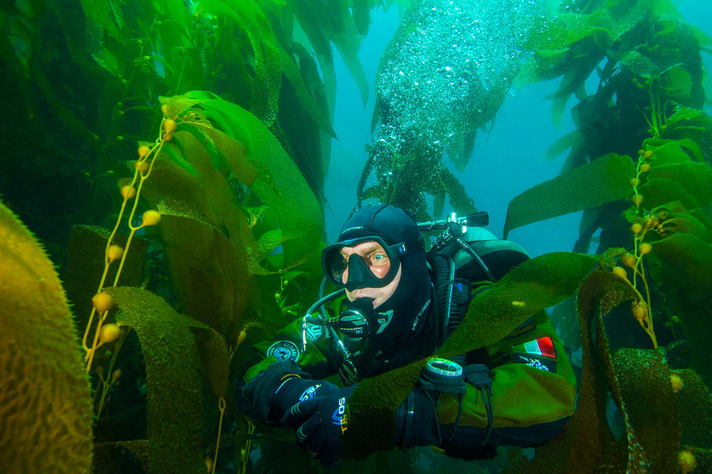douglas klug diver in coldwater gear photo taken with ikelite underwater housing