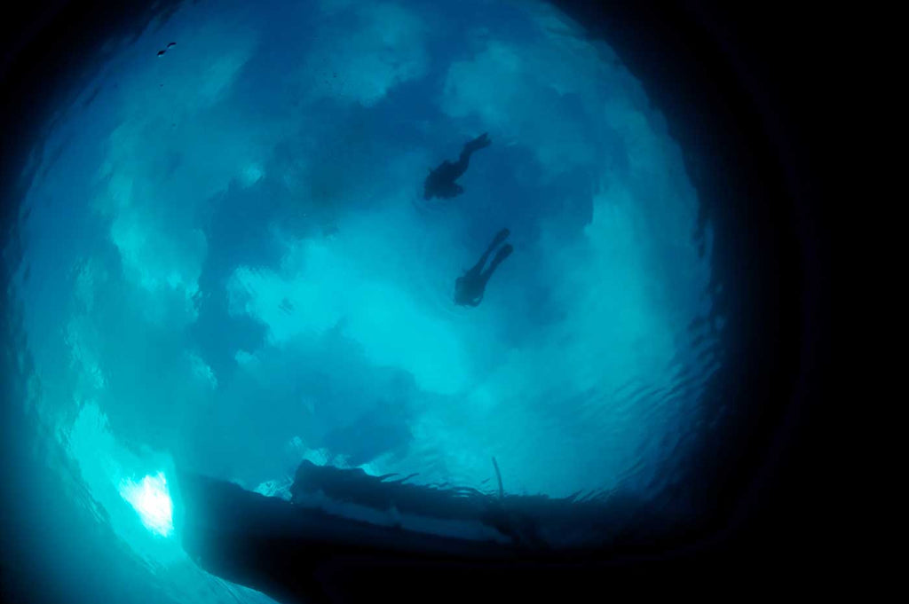Fisheye underwater captures snells window