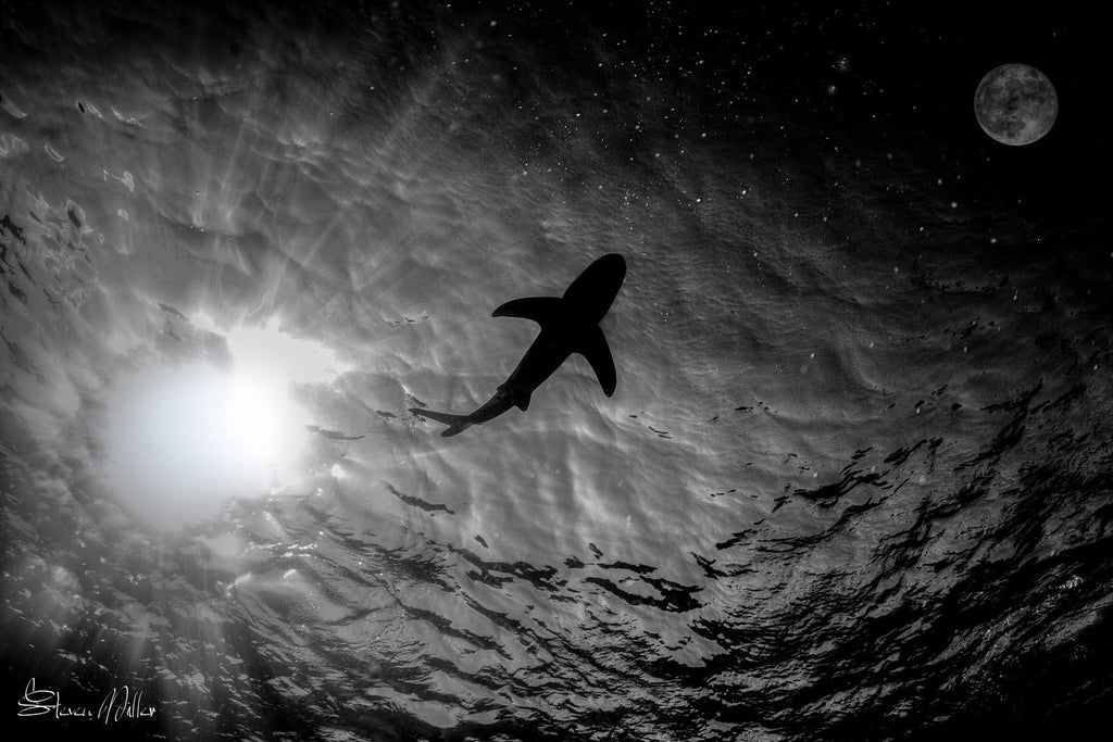 Full Moon Composite Copyright Steve Miller