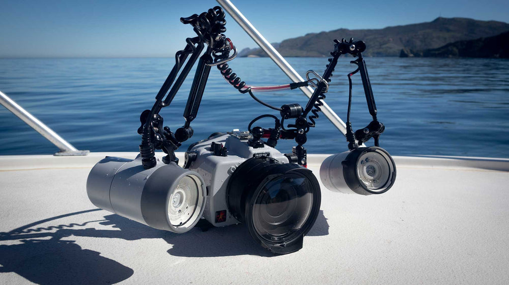 Canon R5 Ikelite 200DL Underwater Housing Gary Burns