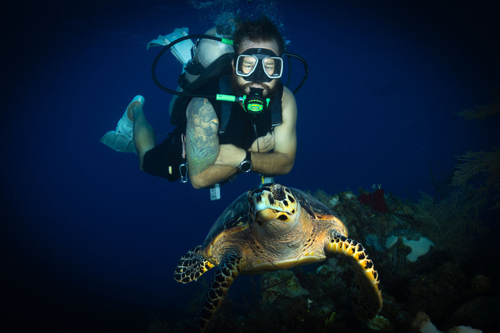 epic divers dive guide with hawksbill turtle image by gary burns for ikelite underwater systems