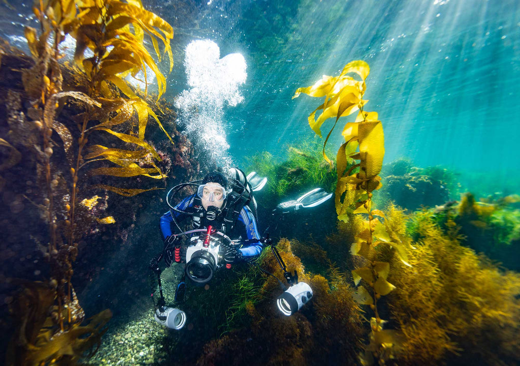 gary burns underwater with canon R5 by John Brigham Ikelite housing