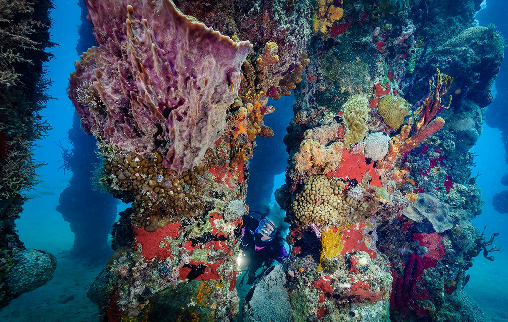 Frederiksted Pier St Croix Copyright Glenn Ostle Ikelite Underwater Housing