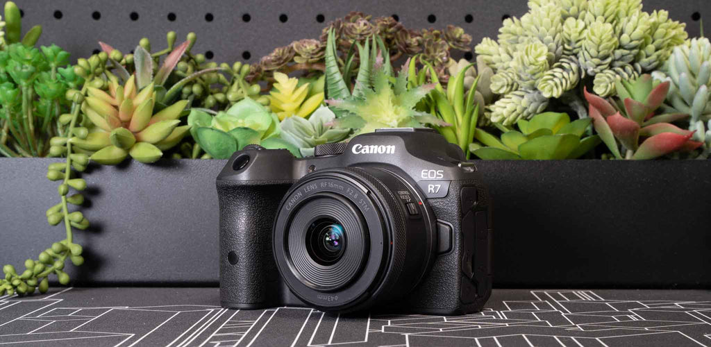 Canon R7 Underwater Review - Bluewater Photo