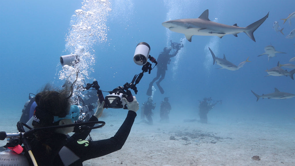 denise pietsch shooting the tg6 during a shark feed with ikelite
