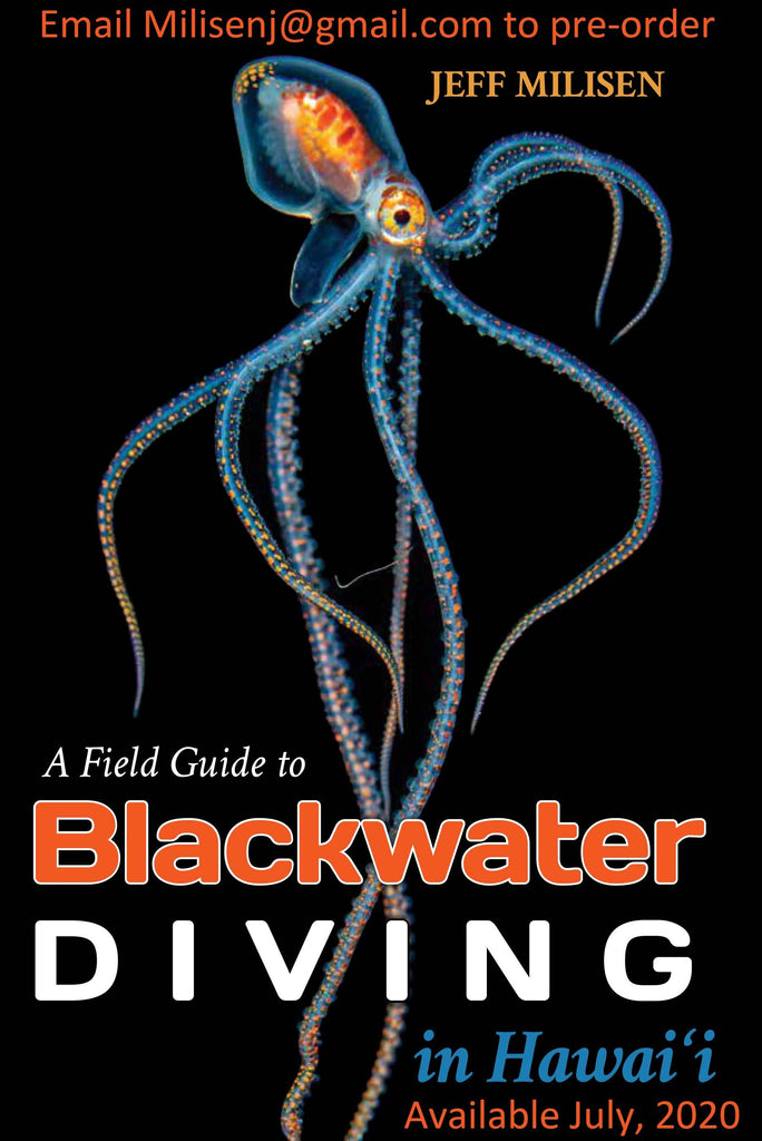 Blackwater Diving Book Copyright Jeff Milisen 