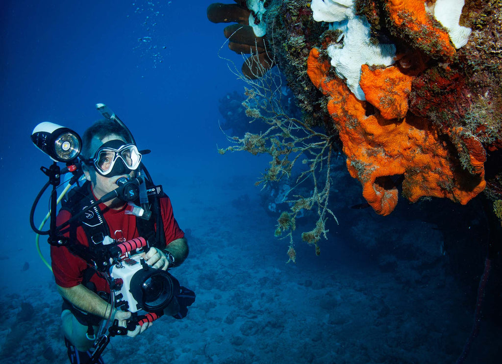 Reef Diver copyright John Brigham Ikelite Underwater Housings