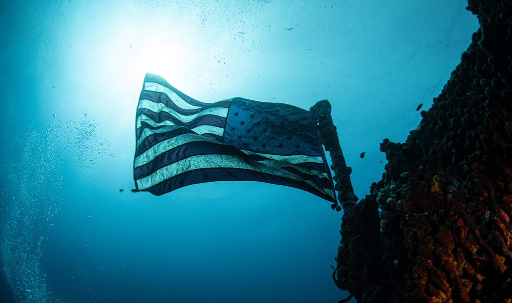 flah on wreck by jonathan miller taken with sony a7r iv inside an ikelite housing