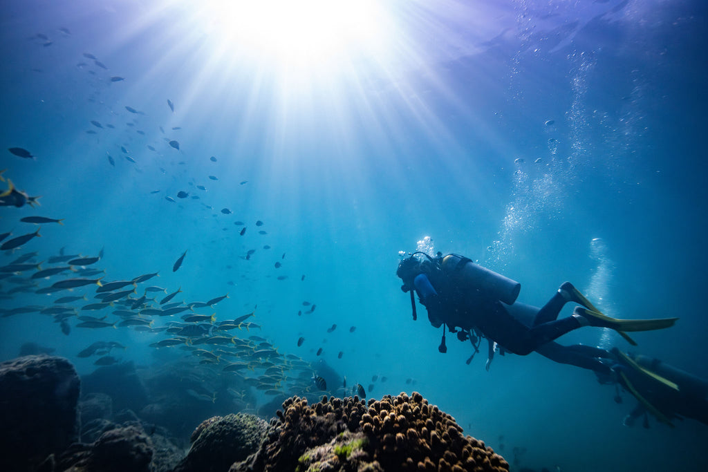 diver with light rays taken with ikelite underwater housing