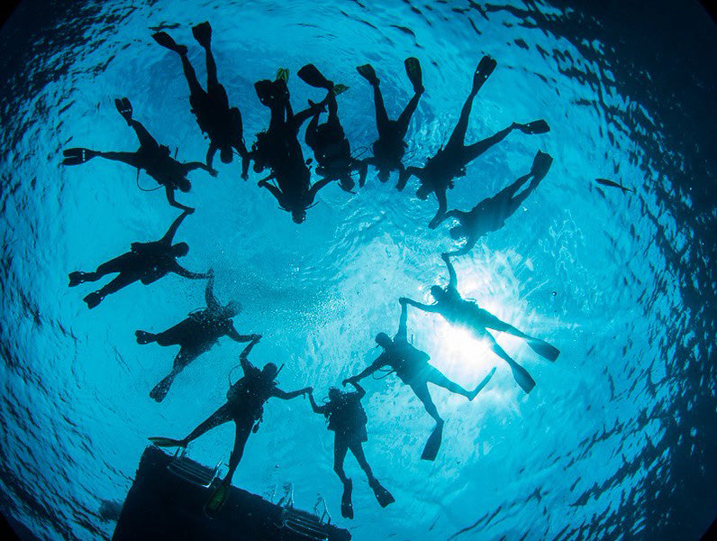 dive buddies ikelite underwater systems in little cayman