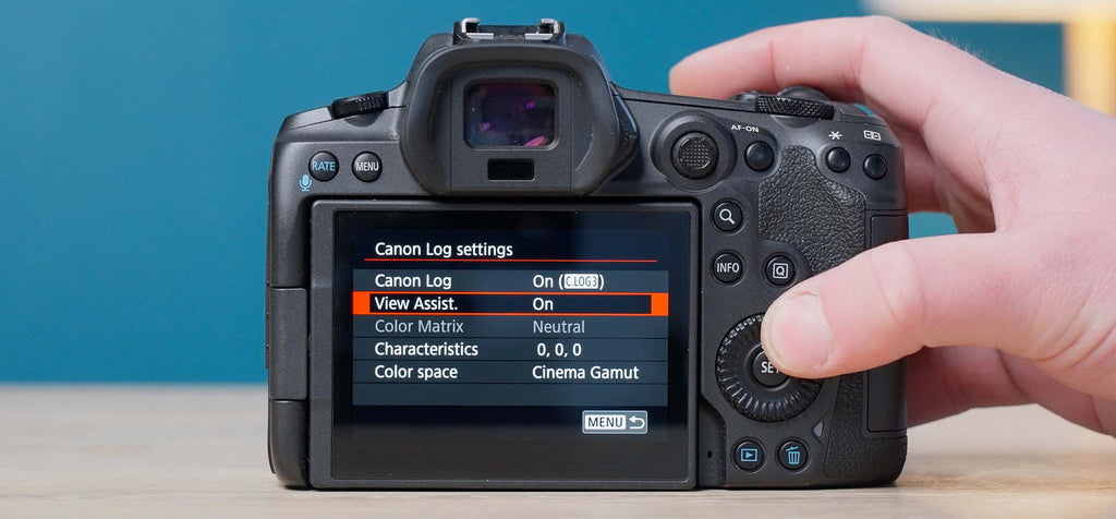 Shooting Log with LCD View Assist on Canon Mirrorless Camera