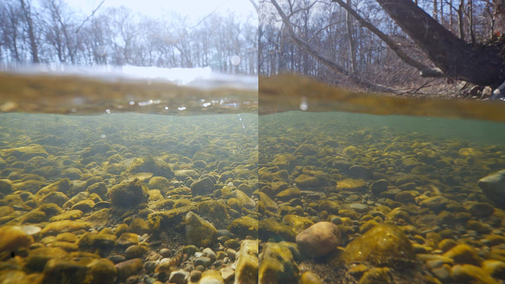 Underwater Log vs Linear footage Ikelite