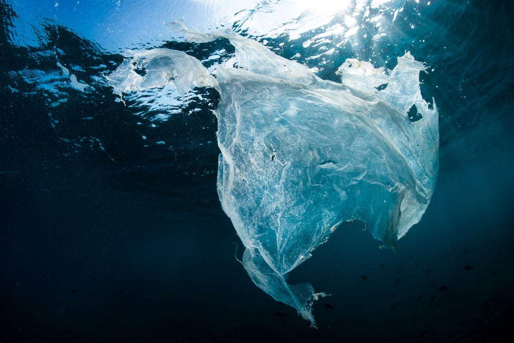 Plastic Bag in Ocean Lorenzo Terraneo Ikelite Housing