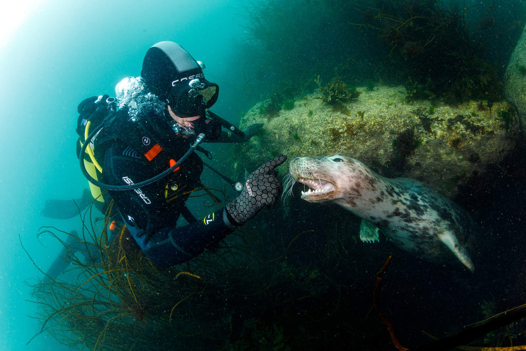 Grant Thomas Swimming with Seal