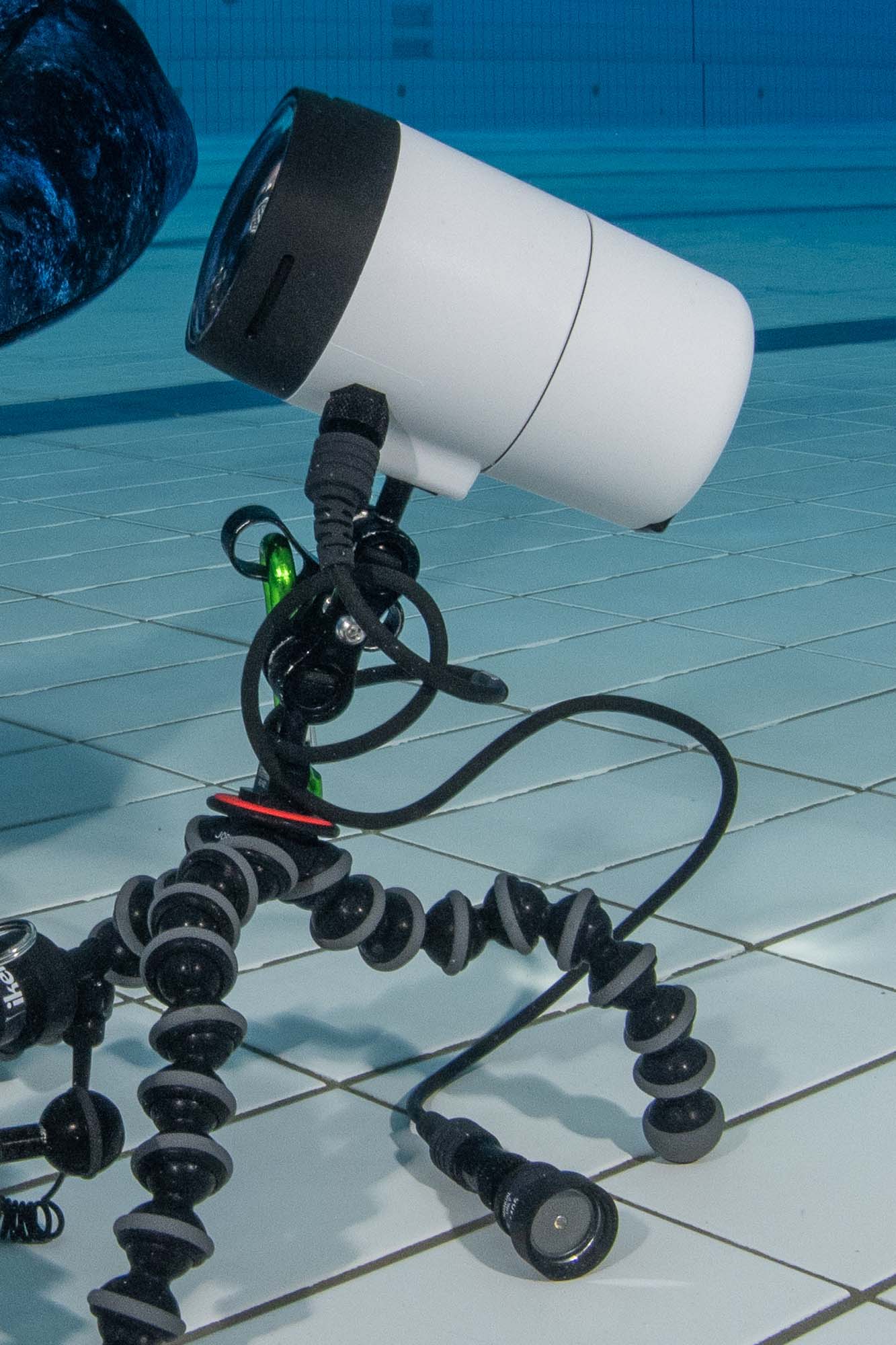 DS230 Strobe copyright Nicolas Remy Ikelite Underwater Housings