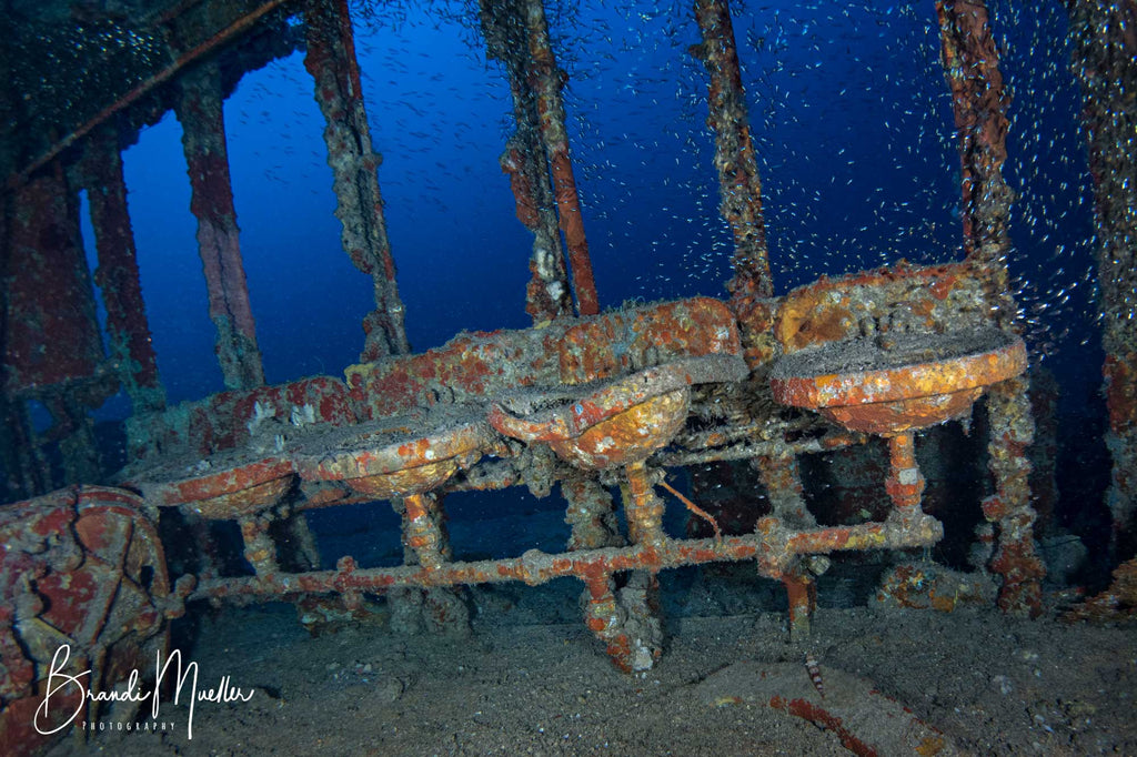 Nikon 8-15mm Underwater Photo by Brandi Mueller