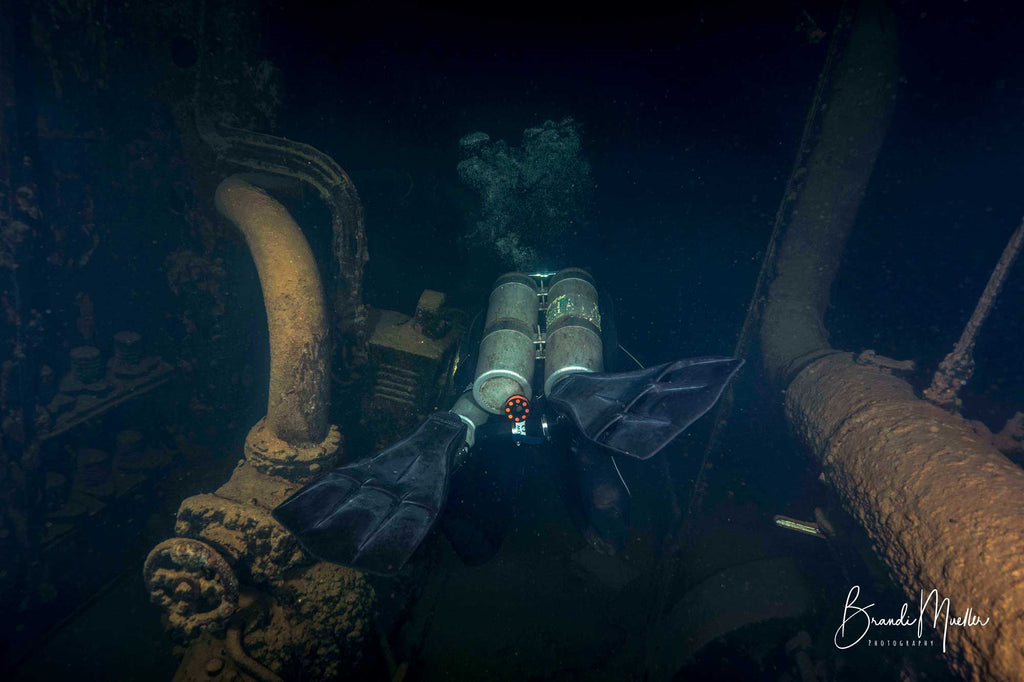 Nikon D850 Underwater Photo by Brandi Mueller