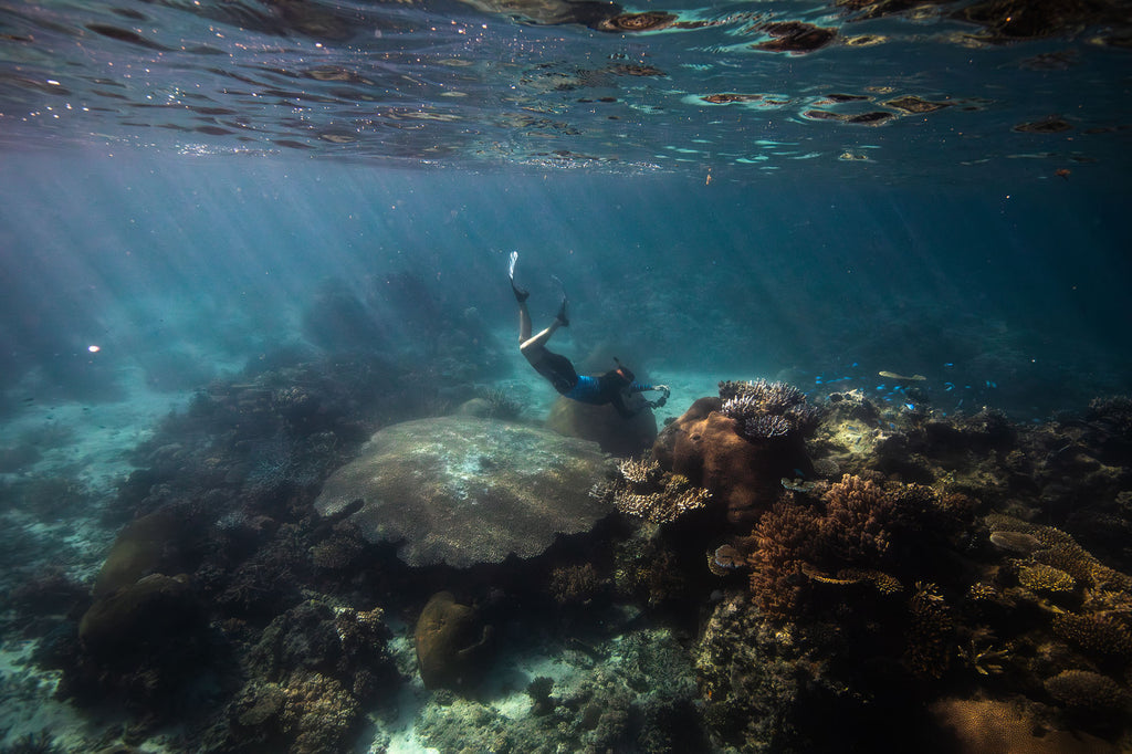 dive at reef taken by rhys logan with ikelite underwater housing